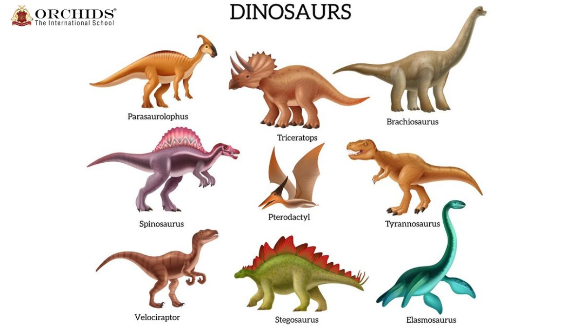 A group of diffrent dinosaurs.